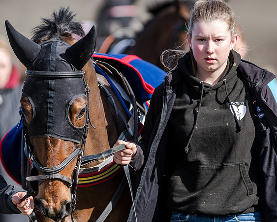 Race 1 - 2m4f Young Horse Maiden (8 of 153)