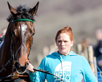 Race 1 - 2m4f Young Horse Maiden (9 of 153)