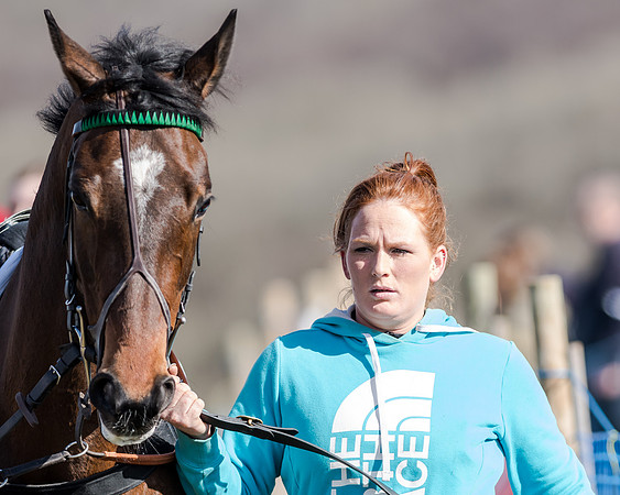 Race 1 - 2m4f Young Horse Maiden (9 of 153)