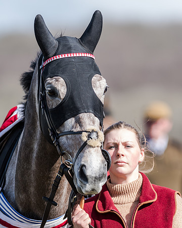 Race 1 - 2m4f Young Horse Maiden (11 of 153)
