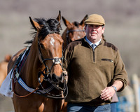 Race 1 - 2m4f Young Horse Maiden (12 of 153)