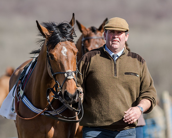 Race 1 - 2m4f Young Horse Maiden (12 of 153)