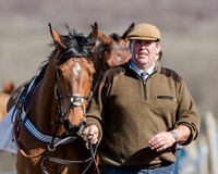 Race 1 - 2m4f Young Horse Maiden (13 of 153)