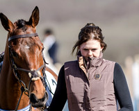 Race 1 - 2m4f Young Horse Maiden (14 of 153)