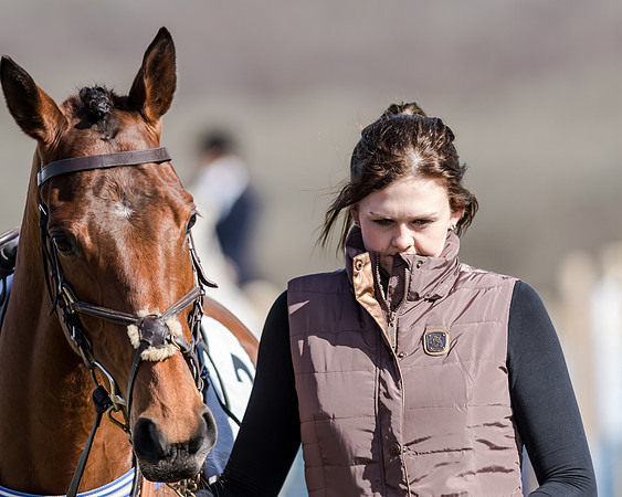 Race 1 - 2m4f Young Horse Maiden (14 of 153)