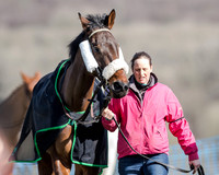 Race 1 - 2m4f Young Horse Maiden (15 of 153)