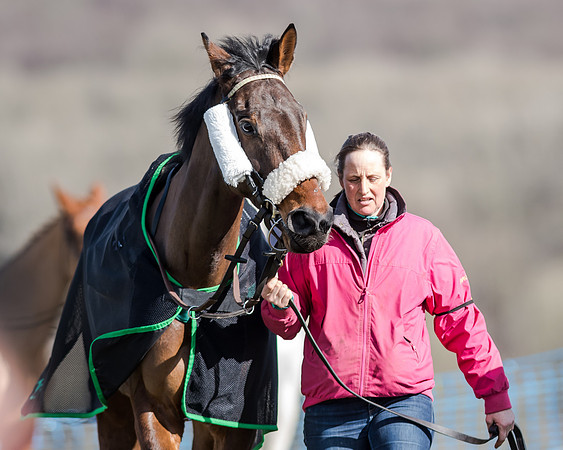 Race 1 - 2m4f Young Horse Maiden (15 of 153)