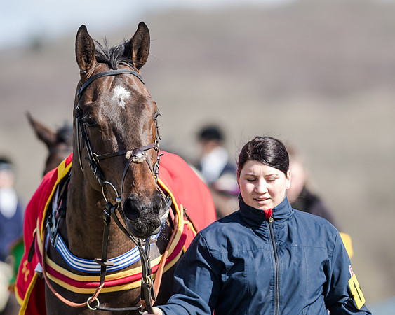 Race 1 - 2m4f Young Horse Maiden (17 of 153)