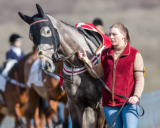 Race 1 - 2m4f Young Horse Maiden (18 of 153)
