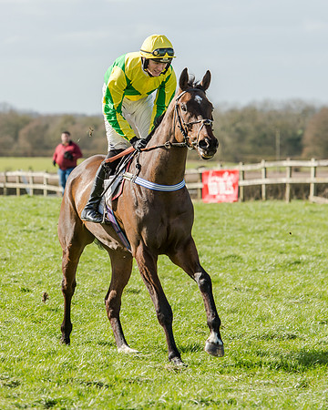 Race 1 - 2m4f Young Horse Maiden (19 of 153)