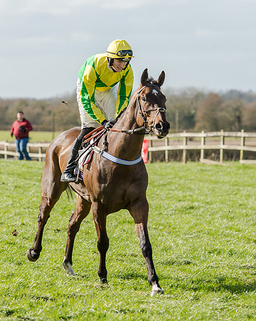 Race 1 - 2m4f Young Horse Maiden (20 of 153)