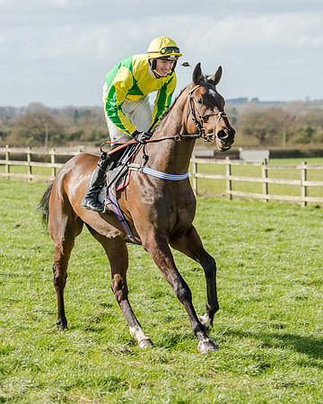 Race 1 - 2m4f Young Horse Maiden (21 of 153)