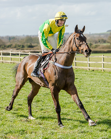 Race 1 - 2m4f Young Horse Maiden (22 of 153)