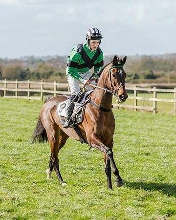 Race 1 - 2m4f Young Horse Maiden (24 of 153)