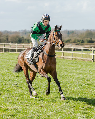 Race 1 - 2m4f Young Horse Maiden (23 of 153)