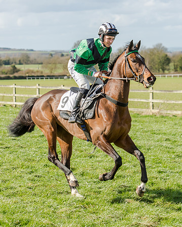 Race 1 - 2m4f Young Horse Maiden (25 of 153)