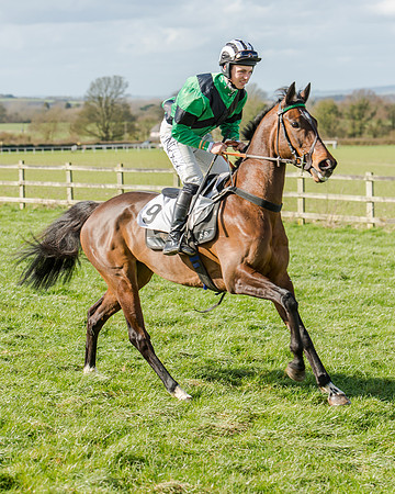 Race 1 - 2m4f Young Horse Maiden (26 of 153)