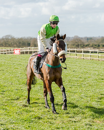 Race 1 - 2m4f Young Horse Maiden (27 of 153)