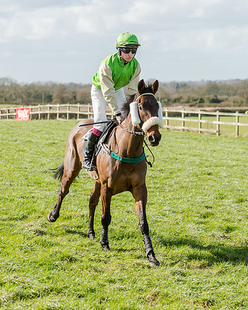 Race 1 - 2m4f Young Horse Maiden (28 of 153)