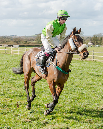 Race 1 - 2m4f Young Horse Maiden (29 of 153)