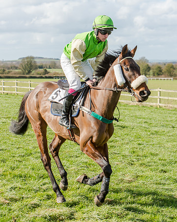 Race 1 - 2m4f Young Horse Maiden (30 of 153)