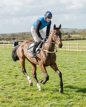 Race 1 - 2m4f Young Horse Maiden (33 of 153)