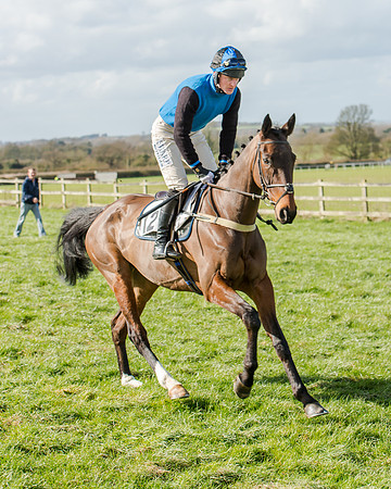 Race 1 - 2m4f Young Horse Maiden (34 of 153)