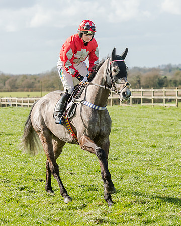 Race 1 - 2m4f Young Horse Maiden (35 of 153)