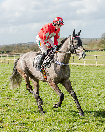 Race 1 - 2m4f Young Horse Maiden (36 of 153)