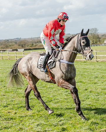 Race 1 - 2m4f Young Horse Maiden (37 of 153)