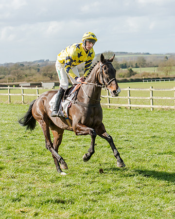Race 1 - 2m4f Young Horse Maiden (38 of 153)
