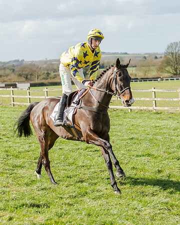 Race 1 - 2m4f Young Horse Maiden (39 of 153)