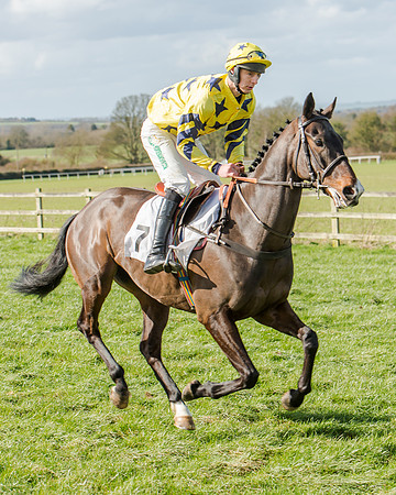 Race 1 - 2m4f Young Horse Maiden (40 of 153)