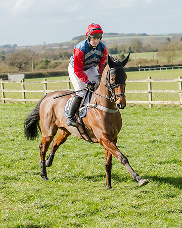 Race 1 - 2m4f Young Horse Maiden (42 of 153)