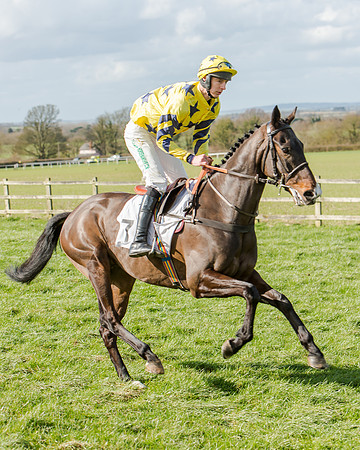 Race 1 - 2m4f Young Horse Maiden (41 of 153)