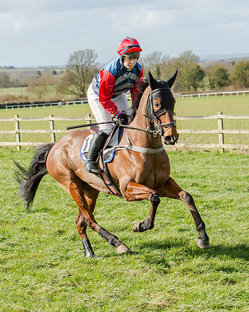 Race 1 - 2m4f Young Horse Maiden (43 of 153)