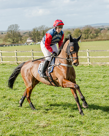 Race 1 - 2m4f Young Horse Maiden (44 of 153)