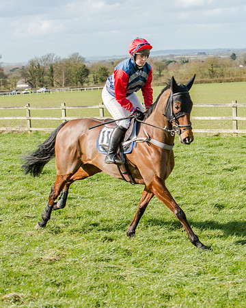 Race 1 - 2m4f Young Horse Maiden (45 of 153)