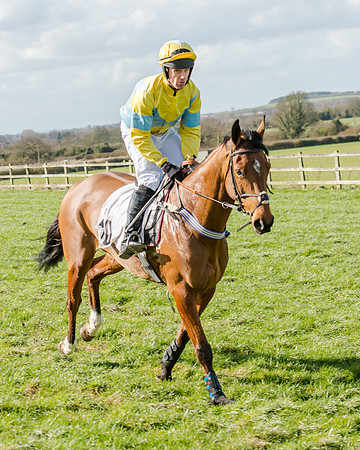 Race 1 - 2m4f Young Horse Maiden (46 of 153)