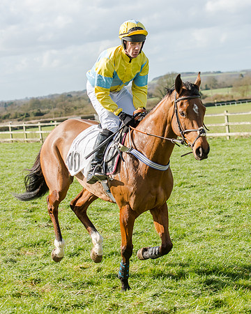 Race 1 - 2m4f Young Horse Maiden (47 of 153)