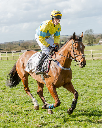 Race 1 - 2m4f Young Horse Maiden (48 of 153)