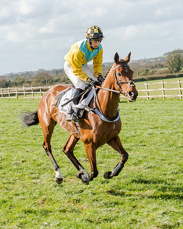 Race 1 - 2m4f Young Horse Maiden (49 of 153)