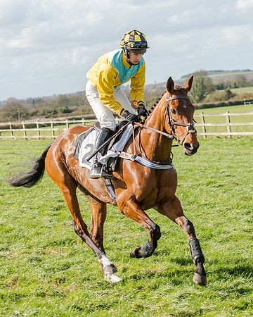 Race 1 - 2m4f Young Horse Maiden (50 of 153)