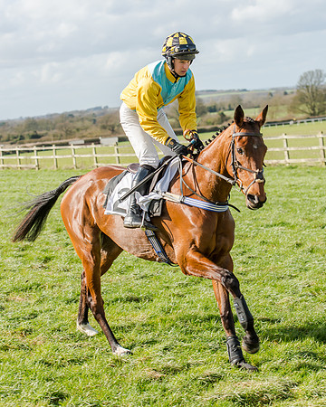 Race 1 - 2m4f Young Horse Maiden (51 of 153)