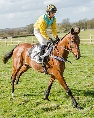 Race 1 - 2m4f Young Horse Maiden (52 of 153)