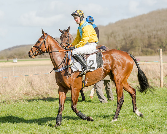 Race 1 - 2m4f Young Horse Maiden (53 of 153)
