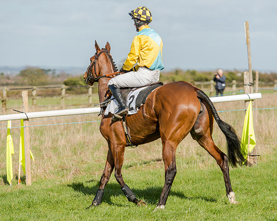 Race 1 - 2m4f Young Horse Maiden (54 of 153)