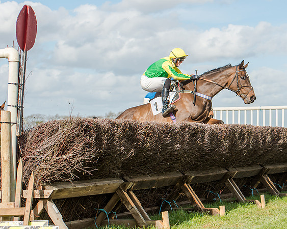 Race 1 - 2m4f Young Horse Maiden (66 of 153)