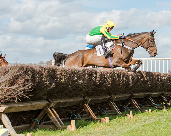 Race 1 - 2m4f Young Horse Maiden (67 of 153)