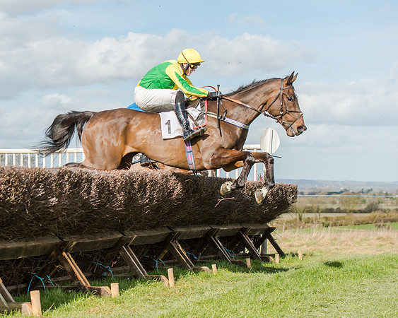 Race 1 - 2m4f Young Horse Maiden (68 of 153)